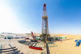 Adnoc Drilling second-quarter net income climbs 19% on revenue boost 
