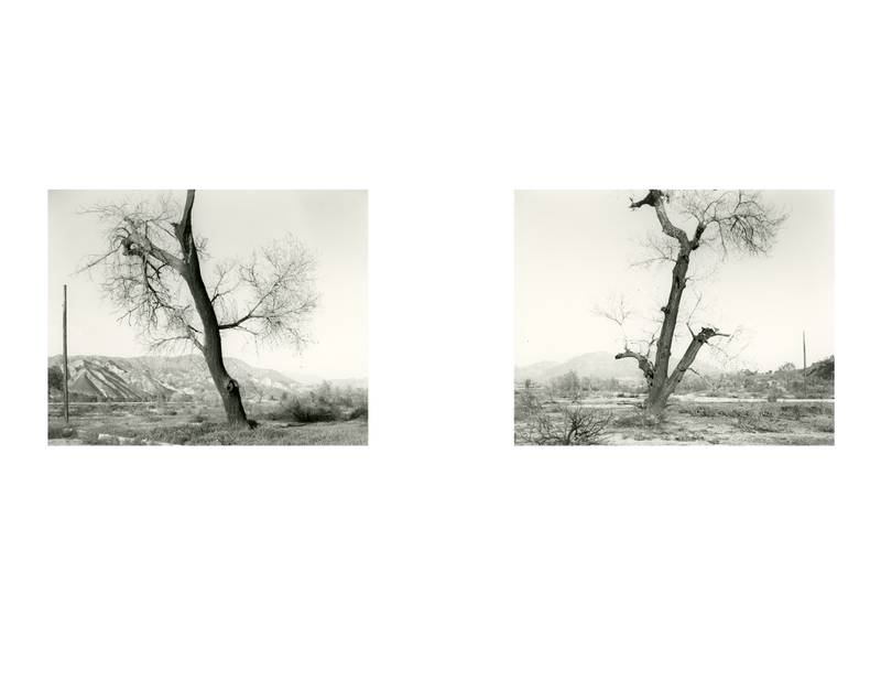 Burnt Tree Diptych, Tujunga Wash, 2018. From the series LA Fires, 2017–20. Silver gelatin print. Photo: Mark Ruwudel, Gallery Luisotti and Large Glass
