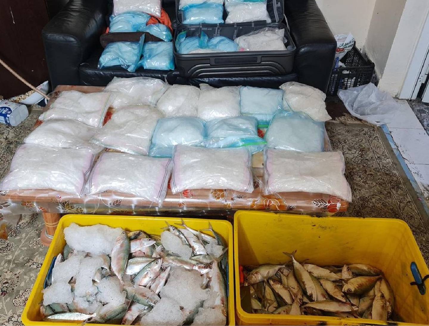 Officers found the drugs hidden inside a fish premises. Image: Abu Dhabi Police
