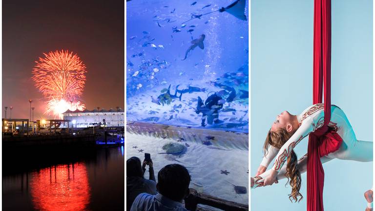 An image that illustrates this article 10 things to do in Abu Dhabi during the National Day holiday 2021
