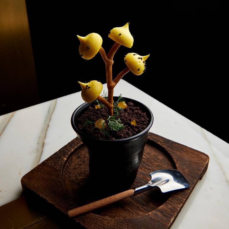 Potted is an elaborate edible plant offering from the creative chefs at Play Restaurant and Lounge. Courtesy Play Restaurant and Lounge
