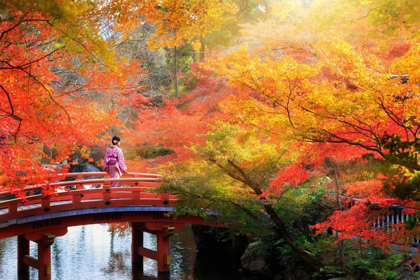 Wooden bridge in the autumn park, Japan. Getty Images