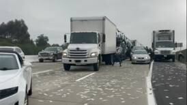 Drivers scramble to grab cash falling from armoured lorry in California 