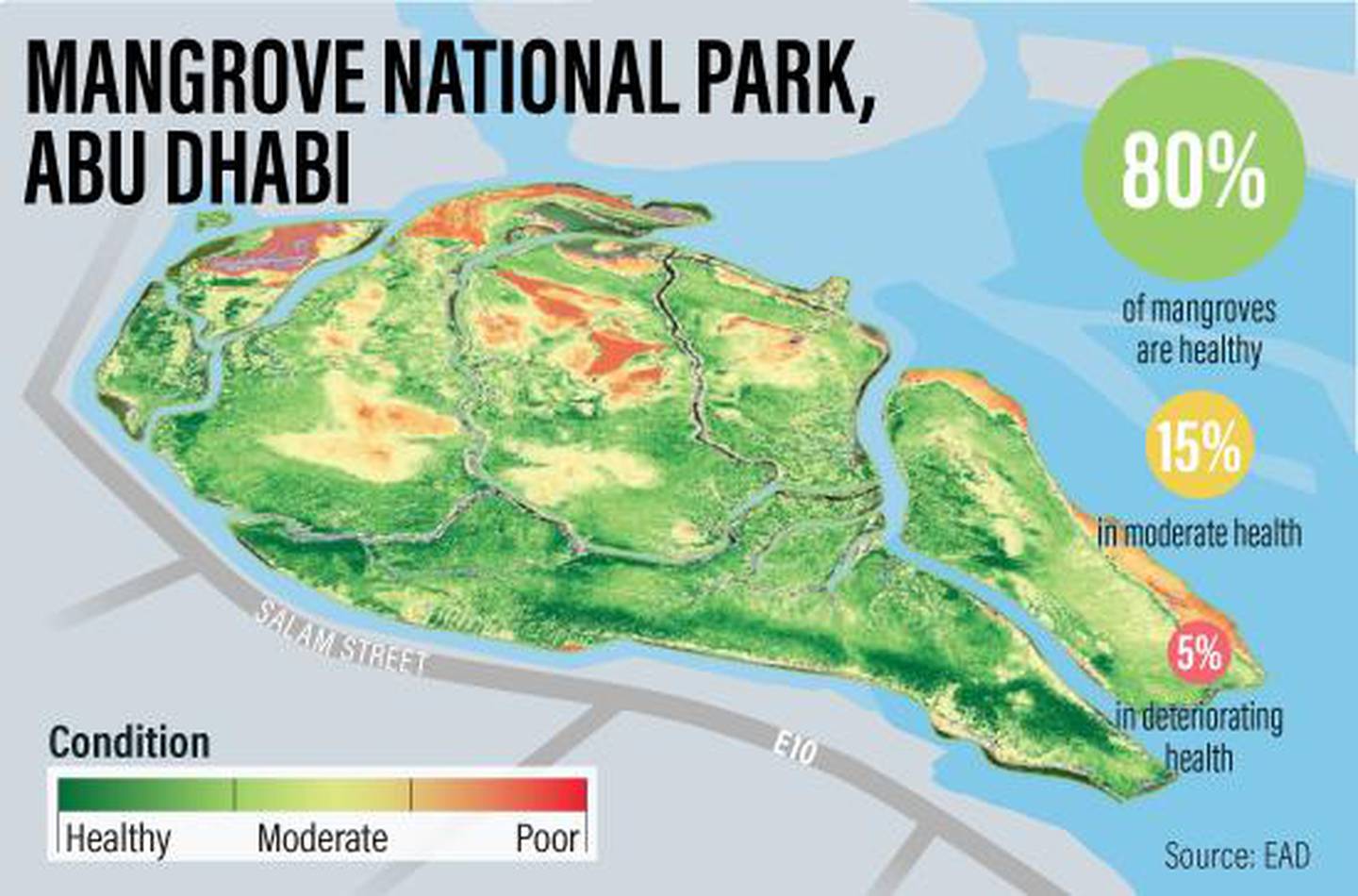 Satellite mapping released in 2018 found that 80 per cent of Abu Dhabi's mangroves are healthy, while 15 per cent are in moderate condition and 5 per cent are in deteriorating health. Ramon Peñas / The National