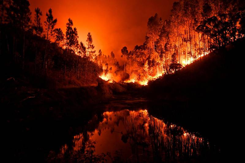 -- AFP PICTURES OF THE YEAR 2017 --

A wildfire is reflected in a stream at Penela, Coimbra, central Portugal, on June 18, 2017. 
A wildfire in central Portugal killed at least 25 people and injured 16 others, most of them burning to death in their cars, the government said on June 18, 2017. Several hundred firefighters and 160 vehicles were dispatched late on June 17 to tackle the blaze, which broke out in the afternoon in the municipality of Pedrogao Grande before spreading fast across several fronts.  / AFP PHOTO / PATRICIA DE MELO MOREIRA