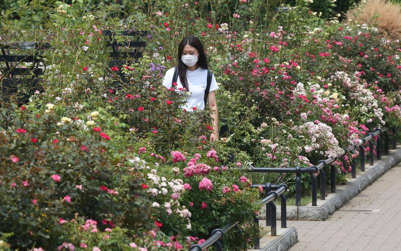 A woman visits a botanical garden in Tokyo, Japan. AP Photo