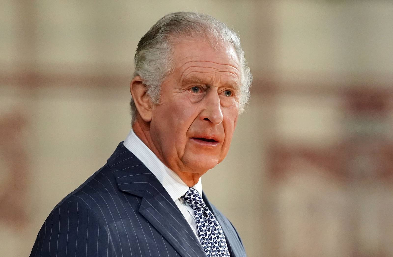 King Charles urges nations to aim for 'global common good' in