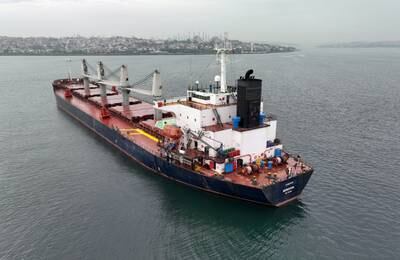 Liberia-flagged bulker Eneida, carrying grain under the Black Sea grain initiative, waits for inspection in the southern anchorage of Istanbul. Reuters