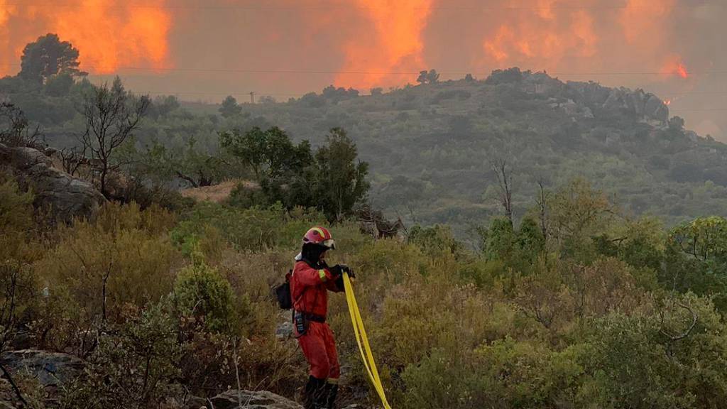 Wildfires in 2022 strike Europe