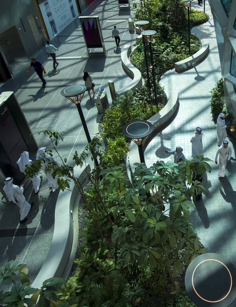 The Orchard is the airport's indoor tropical garden, which includes more than 300 trees and 25,000 plants.   
