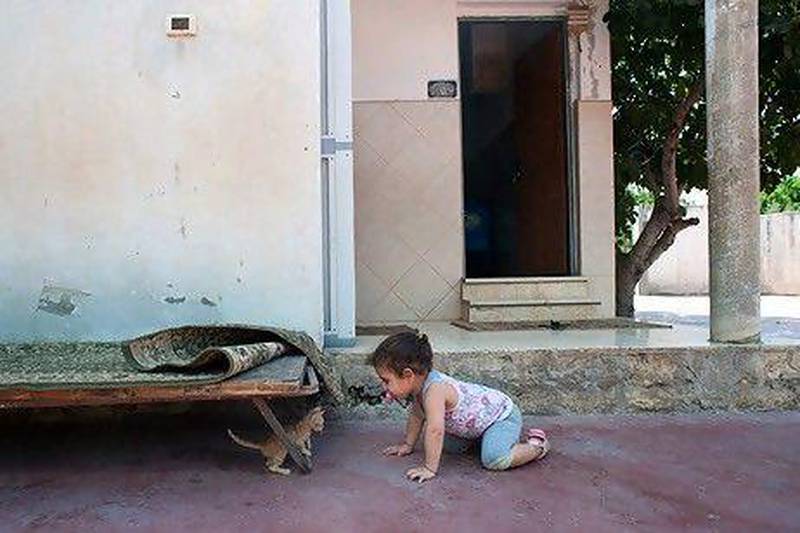 A girl plays with a kitten at Kerem Al Tufaah neighbourhood. Youval Hai for The National