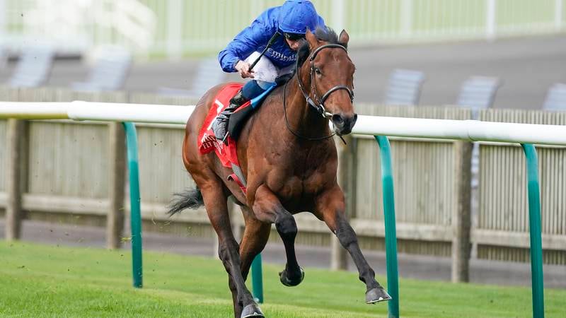 An image that illustrates this article Godolphin’s One Ruler and La Barrosa in the spotlight at Meydan