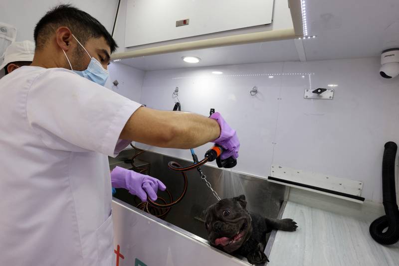 At the pet-grooming service van in Riyadh, Saudi Arabia, a shower is given to a four-legged client. Reuters