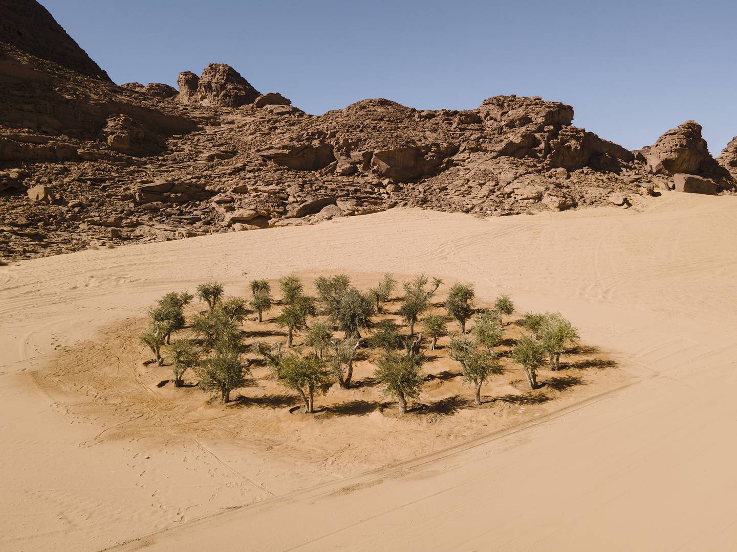 A work by Khalil Rabah at Desert X AlUla 2022 in Saudi Arabia.  Photo: Lance Gerber.
