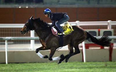 A jockey rides Vin De Garde from Japan during preparations at Meydan. EPA