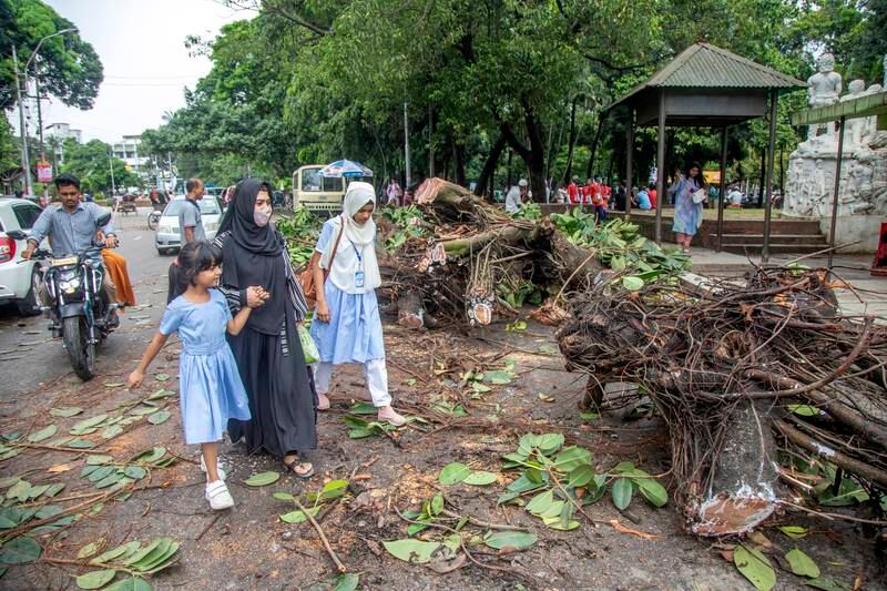 Fallen trees after the passing of Cyclone Sitrang, in Dhaka, Bangladesh.  EPA