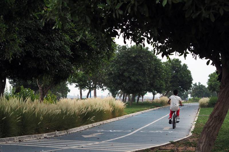 ABU DHABI, UNITED ARAB EMIRATES - - -  June 28, 2016 --- A lone cyclist exercised along a tree-lined path at the Corniche in Abu Dhabi on Tuesday, June 28, 2016.    ( DELORES JOHNSON / The National )  
ID: 86320
Reporter:  none
Section: NA *** Local Caption ***  DJ-280616-NA-Standalone-01234-001.jpg