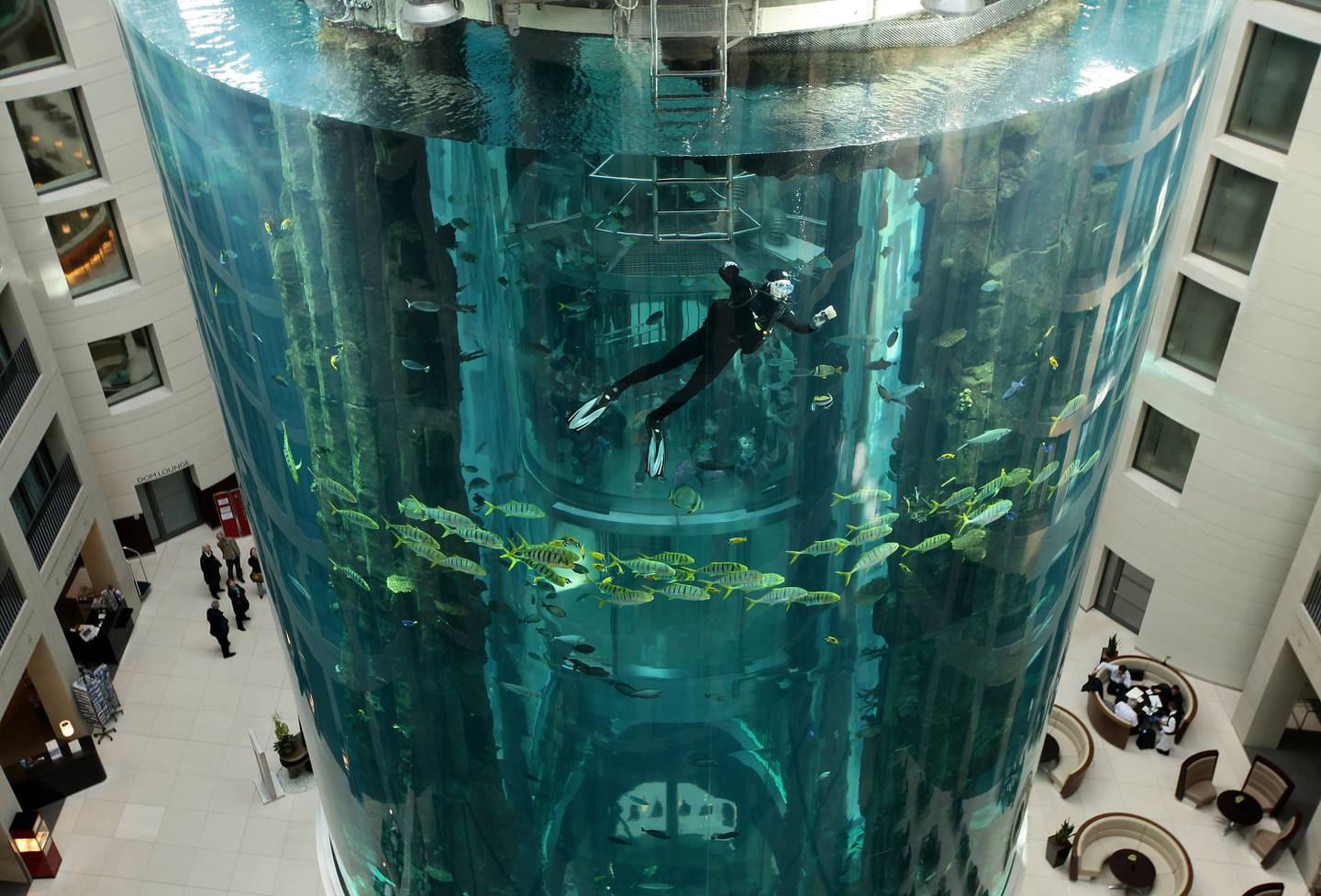 A diver cleaning the aquarium in 2010. Getty Images