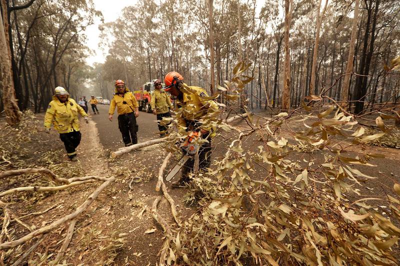 Firefighters from the Rural Fire Service cut up a tree that fell across the road near Oakdale, southwest of Sydney, Australia. AP Photo