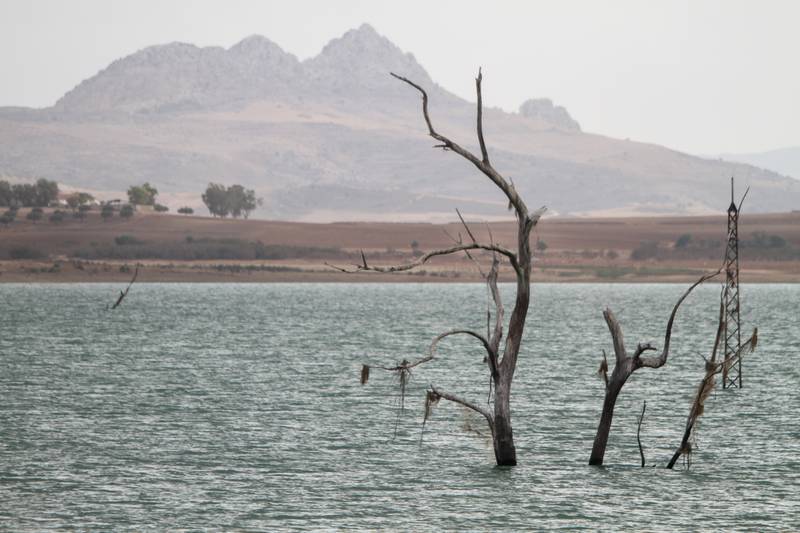 The Sidi Salem Dam in Oued Zarga, Beja, is at just 30 per cent of its capacity. Hasan Mrad / The National
