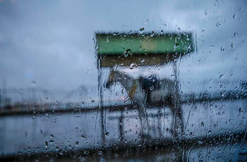 A horse stands in wet and windy weather. EPA