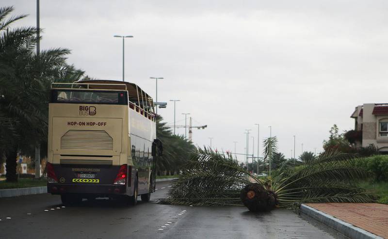 Trees were uprooted on 29th Street in Abu Dhabi during the same storm. Ravindranath K / The National