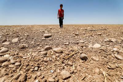 A boy walks through a dry field in eastern Iraq. Reduced agricultural production, water scarcity, rising sea levels and other adverse effects of climate change could force up to 216 million people to migrate within their own countries by 2050, the World Bank has said. AFP