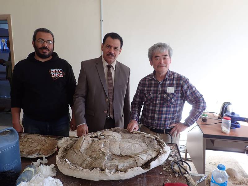 Egyptian palaeontologists with the turtle fossils 