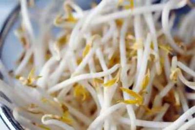 beansprouts --- Image by © Caste/SoFood/Corbis