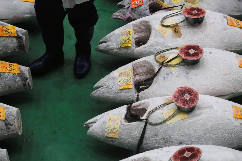 Frozen tuna on display during the Toyosu fish market's first tuna auction of 2019 in Tokyo, Japan. Reuters