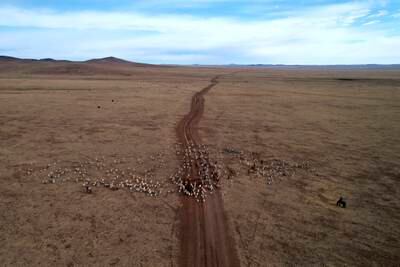 A family's livestock are herded to new land in the Sukhbaatar district of Mongolia, as chronic drought takes hold. AP