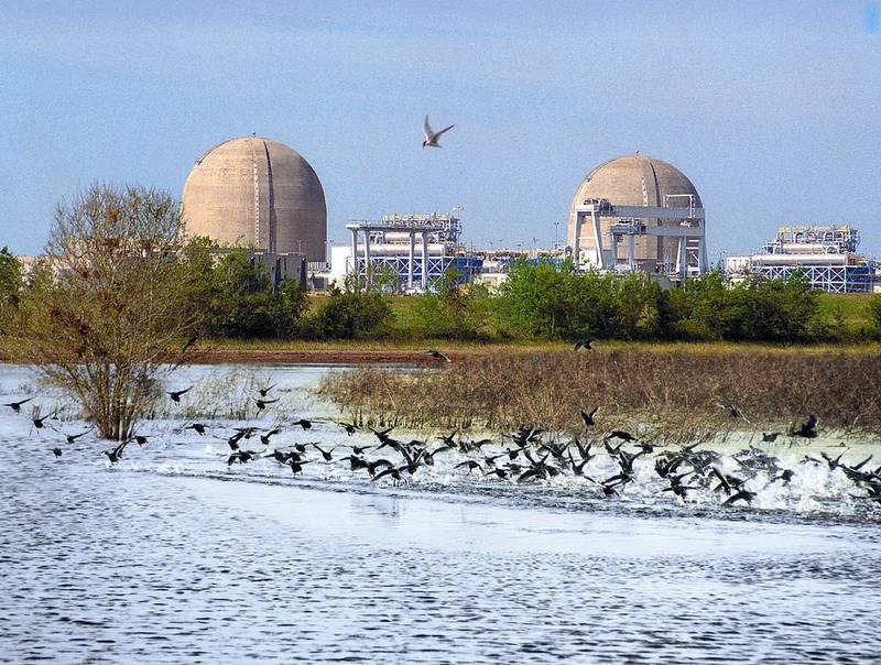 Birds fly over the water outside the South Texas Nuclear Power Plant. Photo: United States Nuclear Regulatory Commission