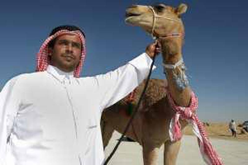 United Arab Emirates - Madinat Zayed - Jan 30 - 2010 : Hassan Bin Edgham al Nuaimi with his camel winner of the beauty contest during the Al Dhafra Festival. ( Jaime Puebla / The National ) *** Local Caption ***  JP Camel Festival 14.jpg