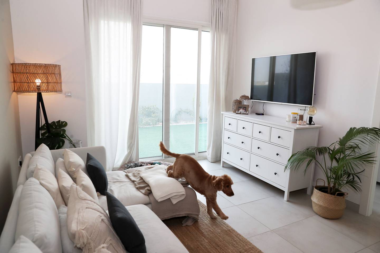 View of the living room and Alexia's dog, Oscar. Photo: Pawan Singh / The National