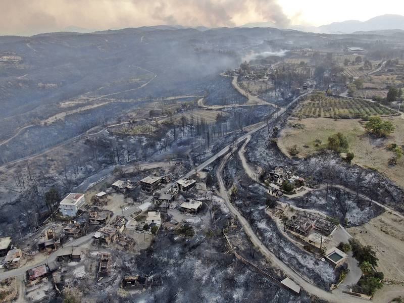 Authorities evacuated homes as strong winds fanned numerous bushfire along Turkey's coast.