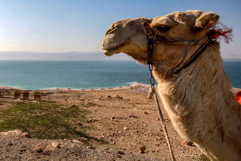Sweimeh lies near the Dead Sea, in the background. AFP
