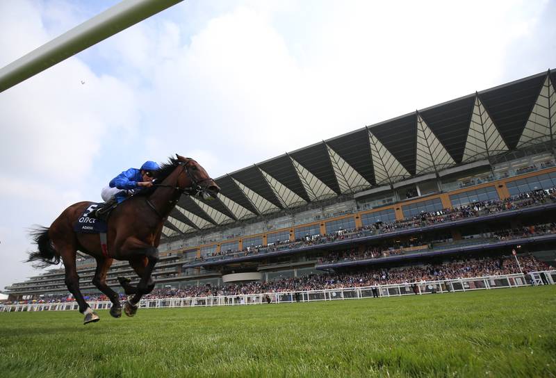 Adayar won the King George VI And Queen Elizabeth Qipco Stakes on Saturday.