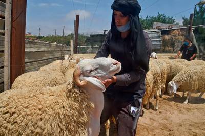 A vendor holds a sheep at a livestock market in the Algerian capital Algiers, ahead of Eid Al Adha. AFP