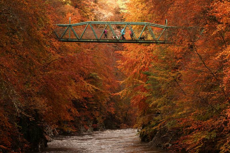 People cross a foot bridge over the River Garry near Pitlochry, Scotland. Reuters