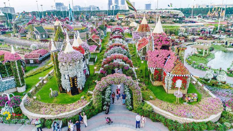 Dubai Miracle Garden. Courtesy: Dubai Miracle Garden