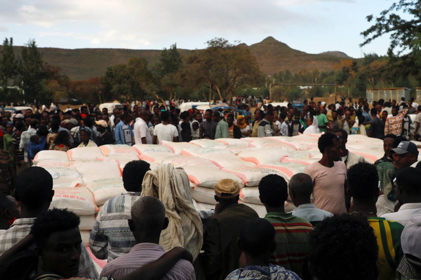 Ethiopia's Tigray region facing 'worst food crisis in a decade'