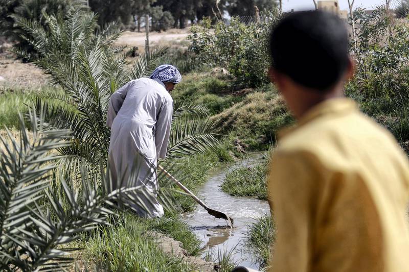 A boy watches as 73-year-old Iraqi farmer Abu Ali uses a shovel to dig in a stream of water in the village of Sayyed Dakhil, to the east of Nasariyah city some 300 kilometres (180 miles) south of Baghdad, on March 20, 2018. - Since childhood, Abu Ali and his family have lived off their land in Sayyed Dakhil, where there used to be no need for a well, but a creeping drought is now threatening agriculture and livelihoods in the area.
Weather patterns are largely to blame for the crisis, but while rain accounts for 30 percent of Iraq's water resources, the remaining 70 percent is drawn from rivers and marshes shared with Iran, Turkey and Syria, which has played a part in Iraq's drought. (Photo by HAIDAR MOHAMMED ALI / AFP)