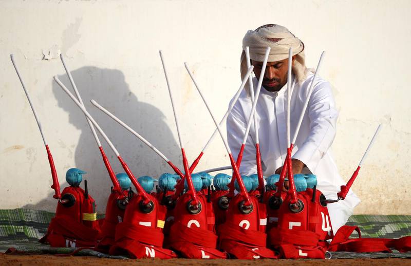 A handler prepares robotic jockeys during the Al Marmoom Heritage Festival.
