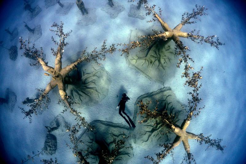 Cypriot freediver Angels Savvas swims through the Museum of Underwater Sculpture Ayia Napa (Musan), billed as the world’s first underwater forest, consisting of a collection of 130 submarine figurative sculptures set in a series of sculpted organic trees and subterranean plants, in the Ayia Napa resort town on the southeastern coast of Cyprus. All Photos: AFP