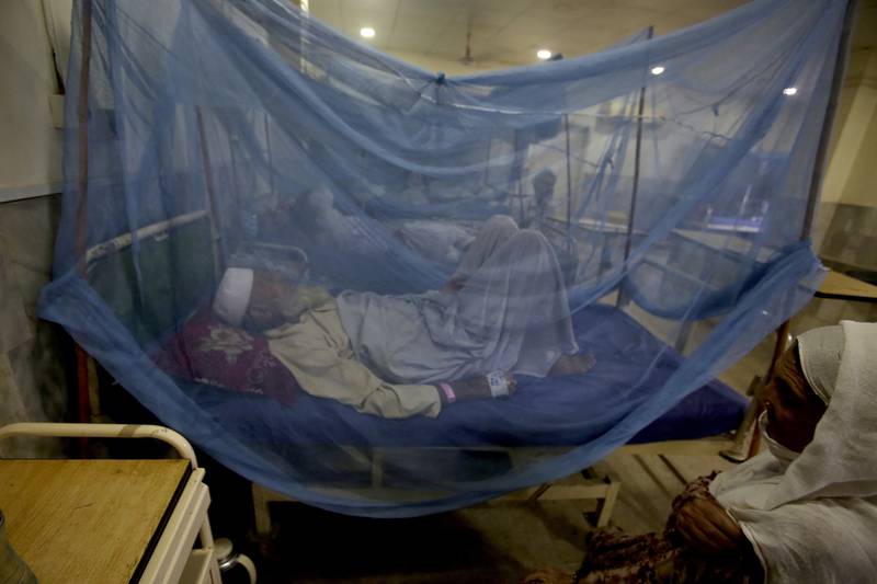 Flooded areas have become infested with diseases including malaria, dengue fever, diarrhoea and skin problems, the southern Sindh provincial government says. AP