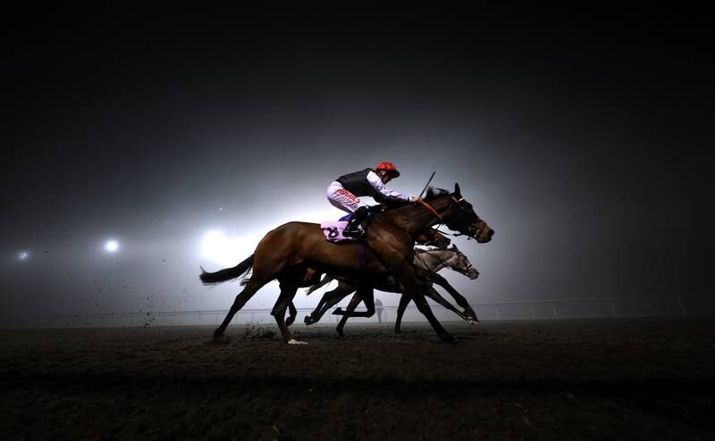 SUNBURY, ENGLAND - NOVEMBER 30: Purple Ribbon ridden by Jack Mitchell races in the Unibet Wild Flower Stakes is run at Kempton Park on November 30, 2022 in Sunbury, England. (Photo by Warren Little / Getty Images)