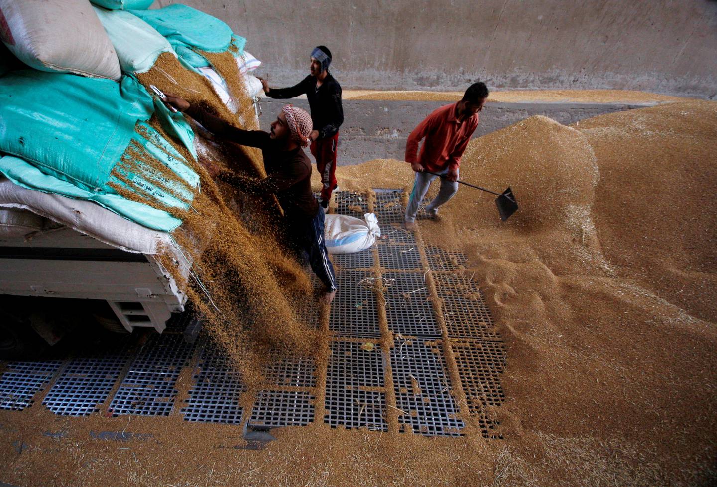 Workers collect wheat at the Benha grain silos, in Al Qalyubia governorate, Lower Egypt. Reuters 
