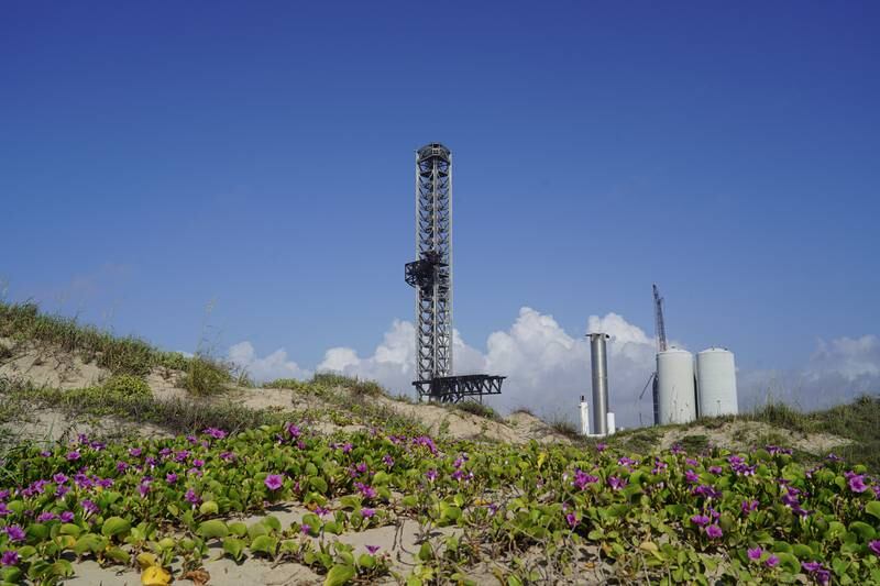 Flowers grow on the dunes of Boca Chica Beach near a SpaceX tower. 