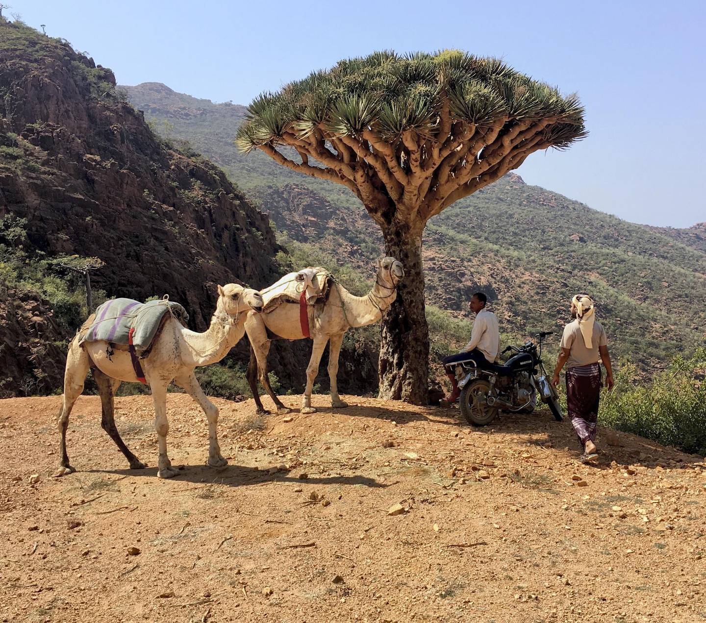 Socotra, a Yemeni archipelago near Somalia, to where a few years ago Al-Shamahi led a trip funded by the MBI Al Jaber Foundation as a reconnaissance for a potential large-scale interdisciplinary expedition that she hopes will proceed once the pandemic is under control. Courtesy Ella Al-Shamahi
