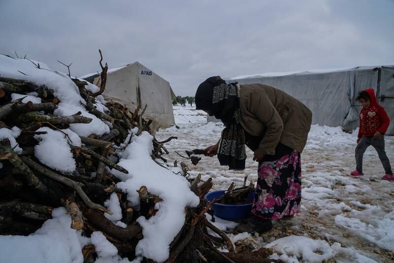 A displaced Syrian woman collects firewood and transports it to her tent for heating